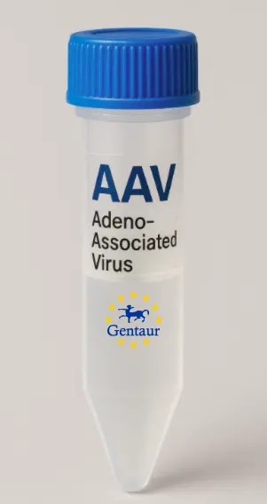 1110017D15Rik AAV Vector (Mouse) (CMV)