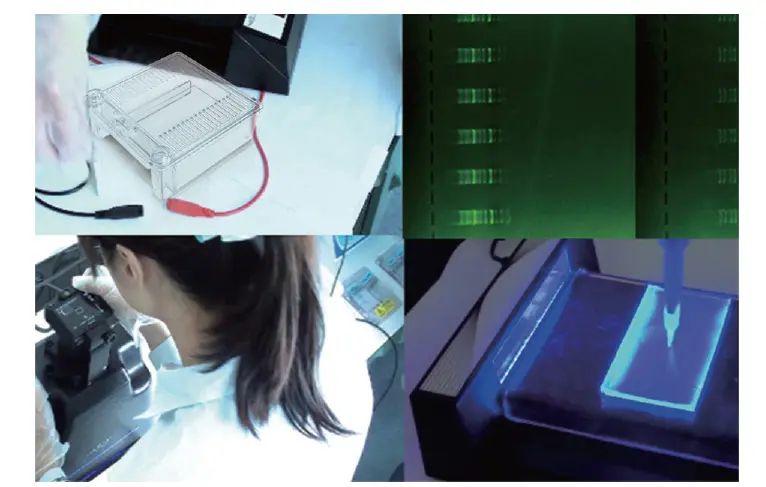 SafeBlue 210 Imager System with 18 megapixel digital camera and hood kit