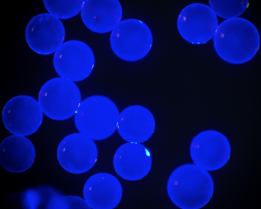 [AFB-2400-NH2] Blue PS Fluorescent Particles, 24 um-NH2